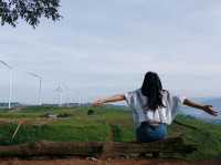 ทุ่งกังหัน