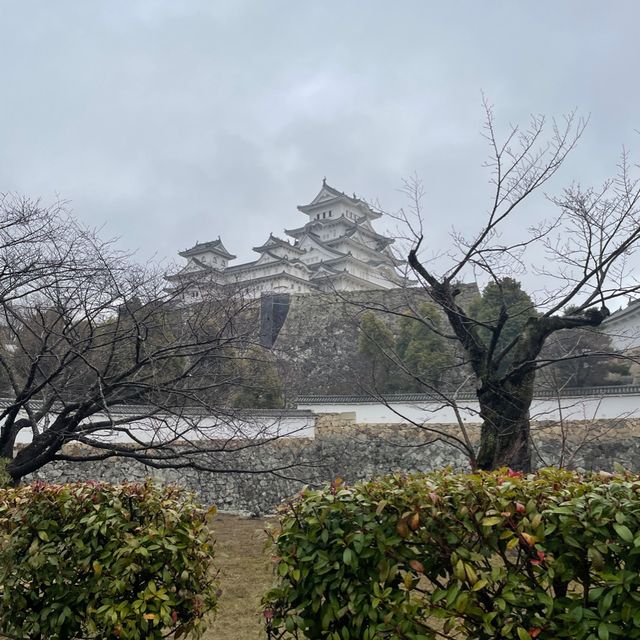 日本🇯🇵三大名城之一‼️國寶雪白姬路城🥹冬日浪漫💕日本🗾城