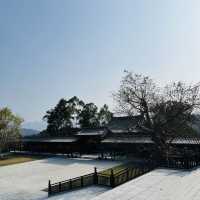 Tsz Shan Monastery