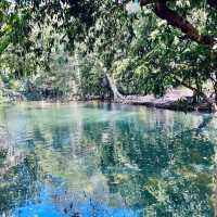 สวนรุกขชาติมวกเหล็ก Muak Lek Arboretum 