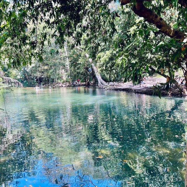 สวนรุกขชาติมวกเหล็ก Muak Lek Arboretum 
