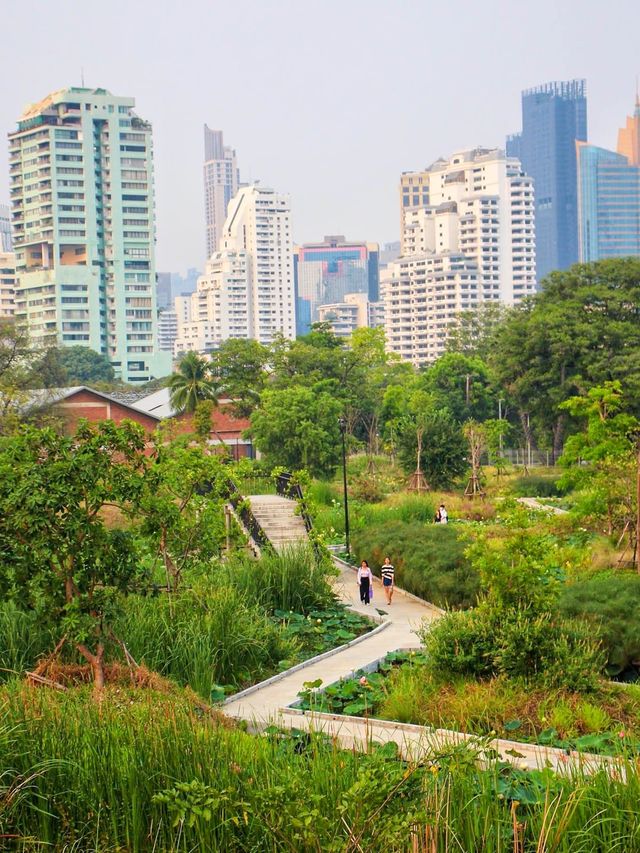 สวนเบญจกิติ สวนสวยกลางกรุง 