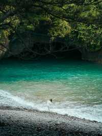 Izu, a beautiful island in Shizuoka 🇯🇵✨