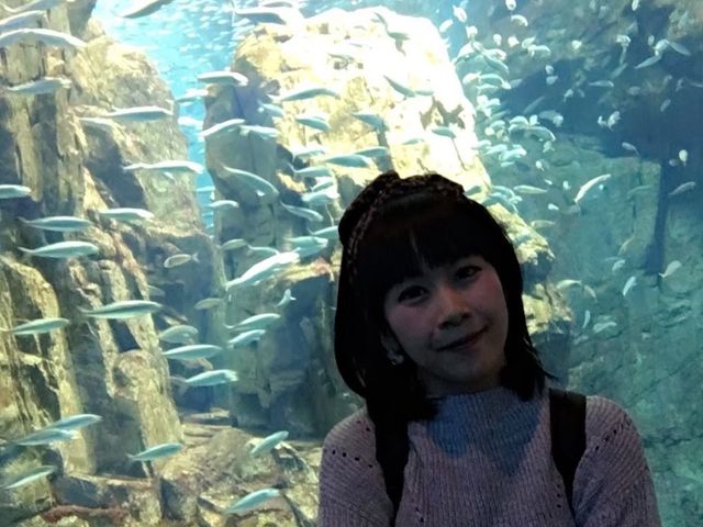 Osaka Aquarium พิพิธภัณฑ์คนรักสัตว์น้ำ