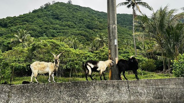 蘭嶼露營四天三夜趴趴走