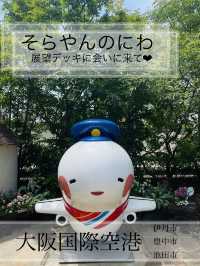 【大阪】そらやん、飛べへんやん、そらそうやん！