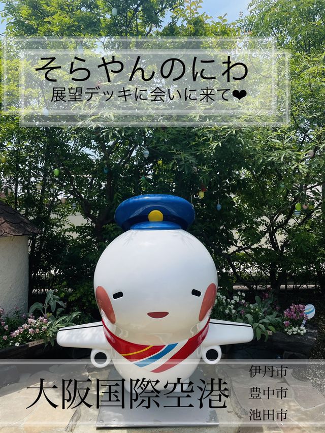 【大阪】そらやん、飛べへんやん、そらそうやん！