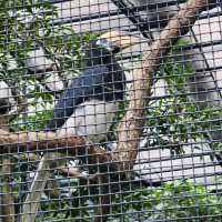 香港動植物公園一日遊