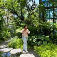 ใกล้บ้าน in the garden ☕️ คาเฟ่แห่งความอบอุ่น