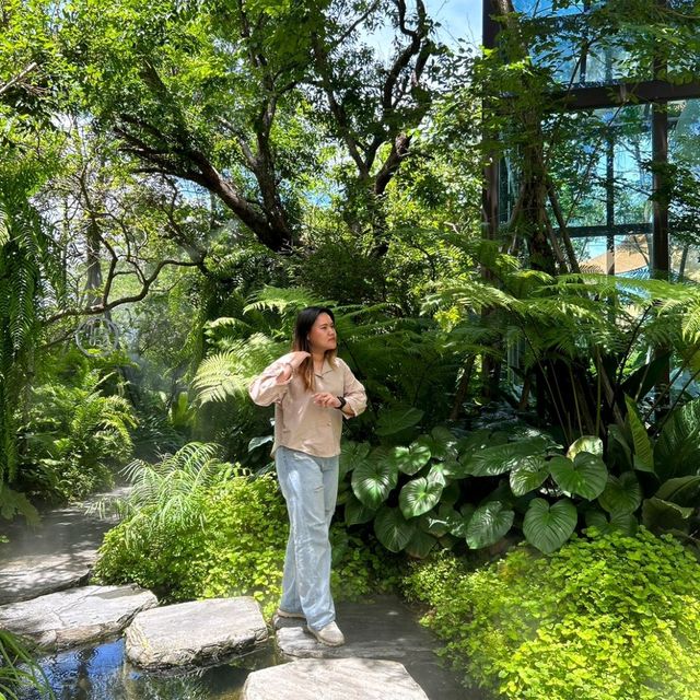 ใกล้บ้าน in the garden ☕️ คาเฟ่แห่งความอบอุ่น