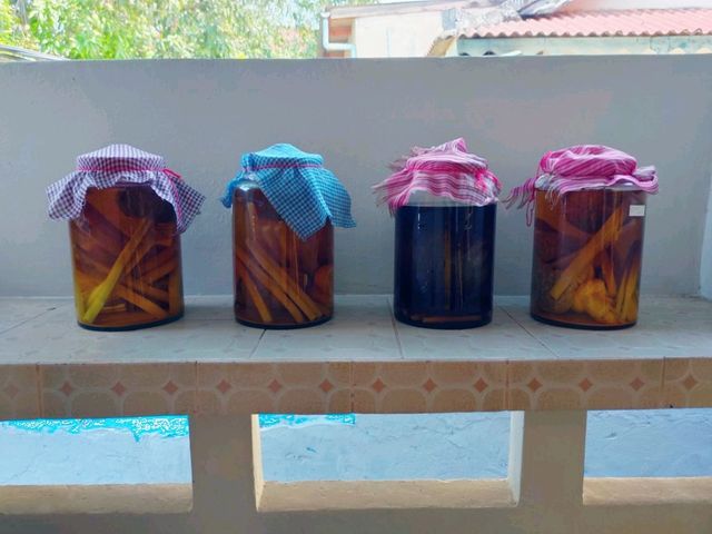 🍸 Sensational Liqueur Tasting in Siem Reap