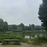 【大阪・南千里】公園内にあるオシャレカフェ