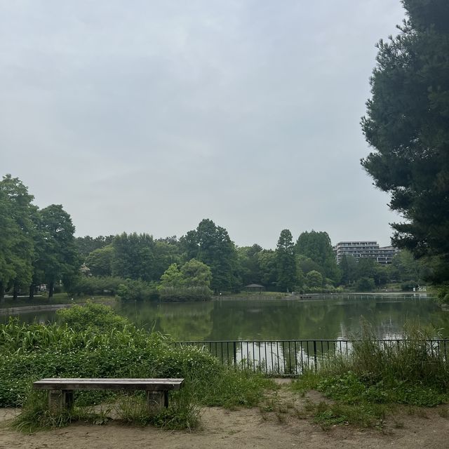 【大阪・南千里】公園内にあるオシャレカフェ