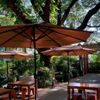 คาเฟ่ ที่มีต้นไม้ร่มรื่น สไตล์ญี่ปุ่น