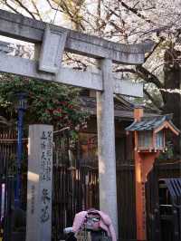 上野「成田空港から一本オススメ観光地」