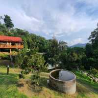 หลงสวน คาเฟ่ท์  ยกภูเขามาไว้ตรงนี้!!