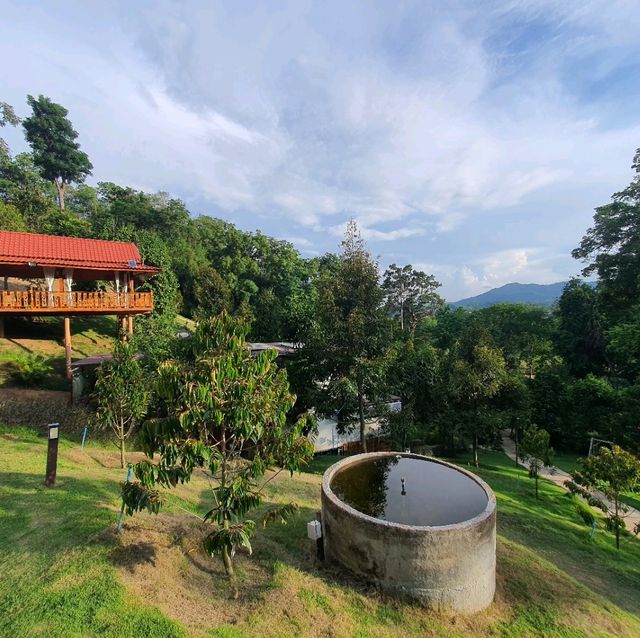หลงสวน คาเฟ่ท์  ยกภูเขามาไว้ตรงนี้!!