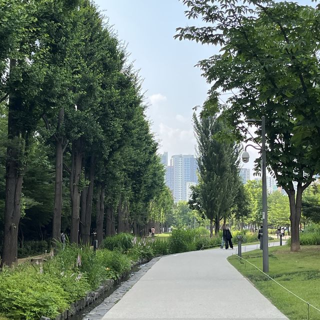 연트럴파크 제일 예쁜 포인트 공유해요 💚