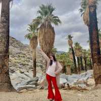Indian Canyon, Palm Springs อเมริกา