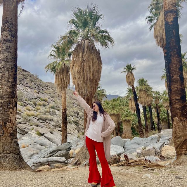 Indian Canyon, Palm Springs อเมริกา