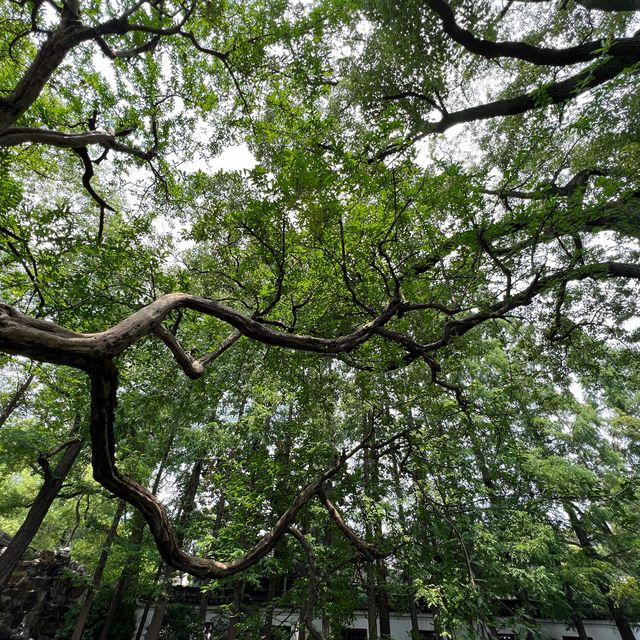 Yu Garden Short trip!  Yu Garden Short trip!