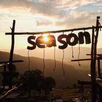 The Season camp ภูชี้ฟ้า ที่พักวิวหลักล้าน