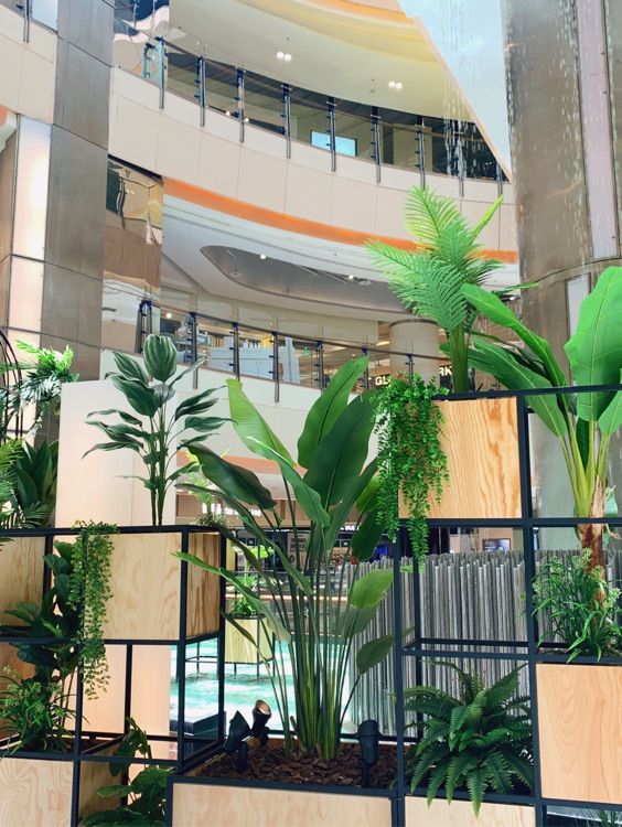 室內水池花園超好拍！桃園室內景點玩整天