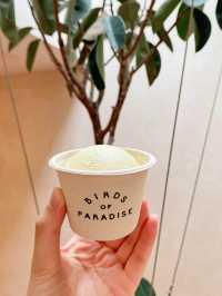 《新加坡世一Gelato雪糕🍨｜開心果特別口味💚》
