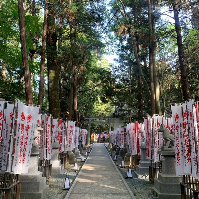 【愛知】狐は何匹いるでしょうか！🦊🦊 