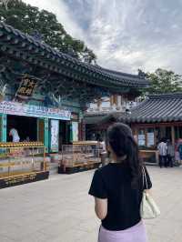 산책과 힐링이 필요하다면 오션뷰 사찰 여수 향일암🌿