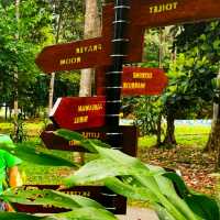 BEST FOREST ADVENTURE IN MELAKA.