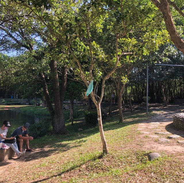 龍潭大池濕地植物區