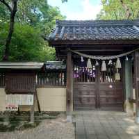 愛知旅行！名古屋「有松天満社」