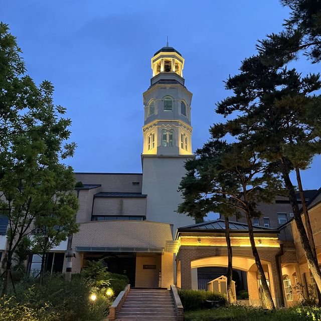 메이필드 호텔 로보카 폴리 룸👍🏻
