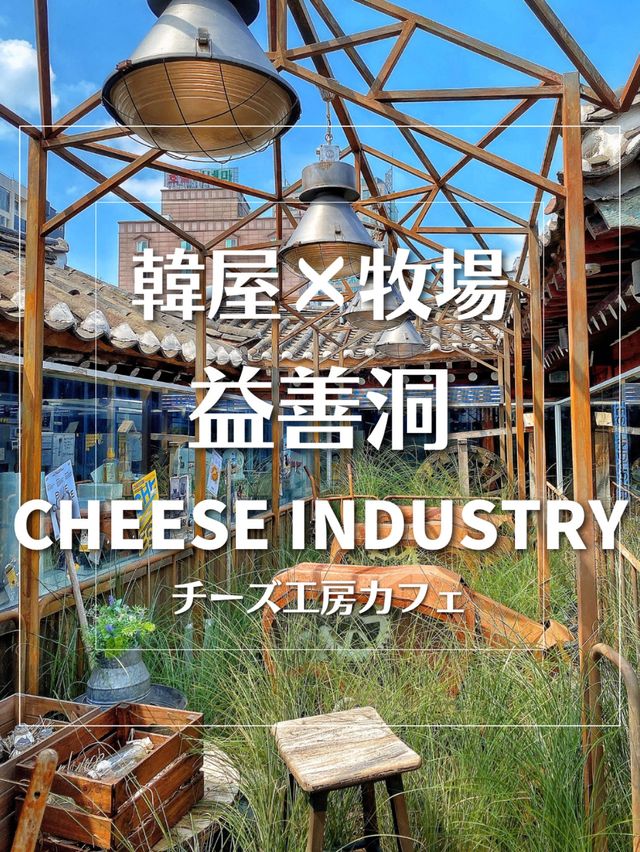 【韓国旅行】コンセプトがすごい👏🏻益善洞の牧場⁉️チーズ工房＆カフェ