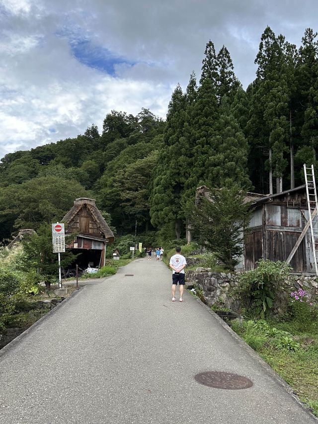 白川鄉 ｜荻町城跡展望台眺望合掌村📸