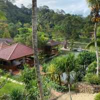 Beautiful resort in the nature, Fifty4Fern