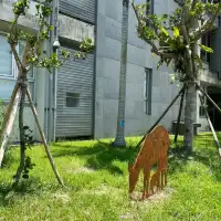 國立宜蘭大學