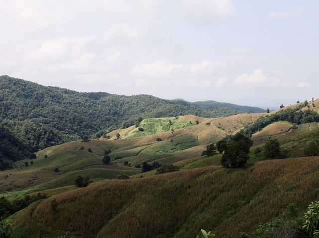 ไร่ลุงลอน : 𝐜𝐚𝐦𝐩𝐢𝐧𝐠 𝐢𝐬 𝐥𝐢𝐟𝐞 จ.แพร่⛰️