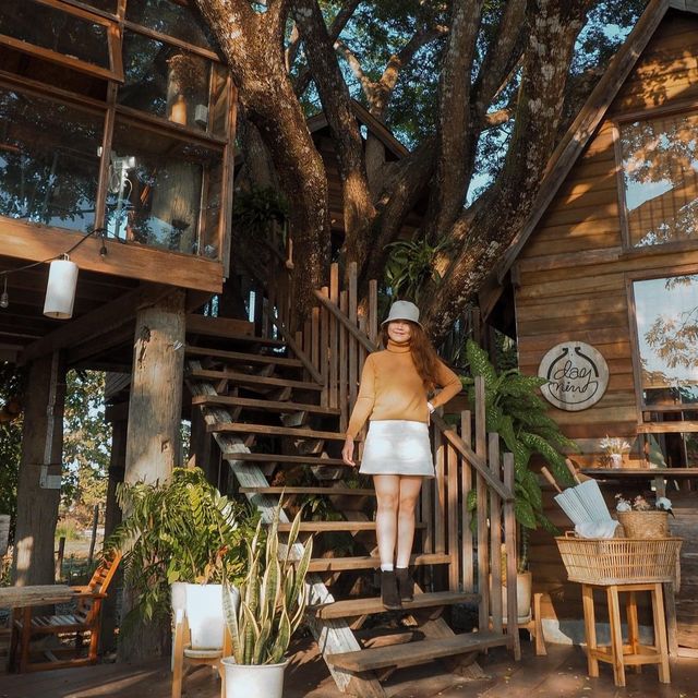  Daynin.cafe คาเฟ่บ้านต้นไม้ 🌳 จ.เชียงราย