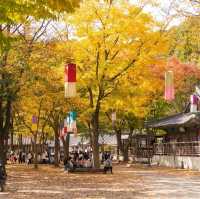 Beautiful Autumn of Korean Folk Village 