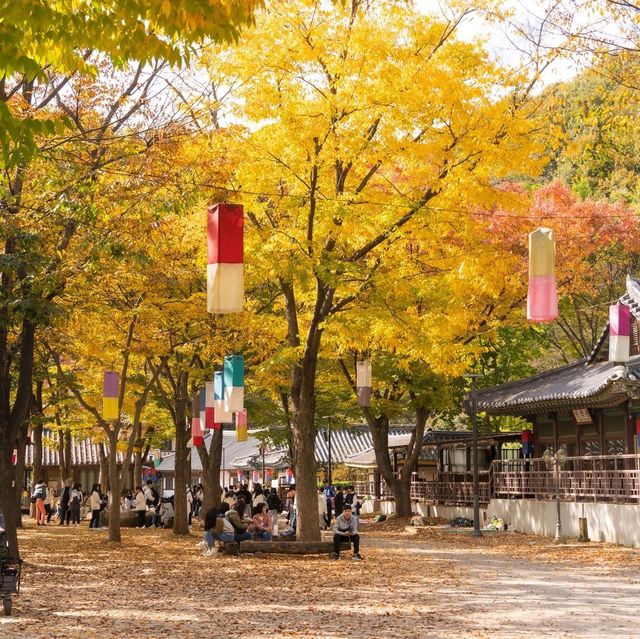 Beautiful Autumn of Korean Folk Village 