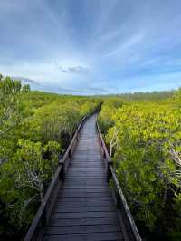 วนอุทยาน​ปราณบุรี​ แนบชิดธรรมชาติ​