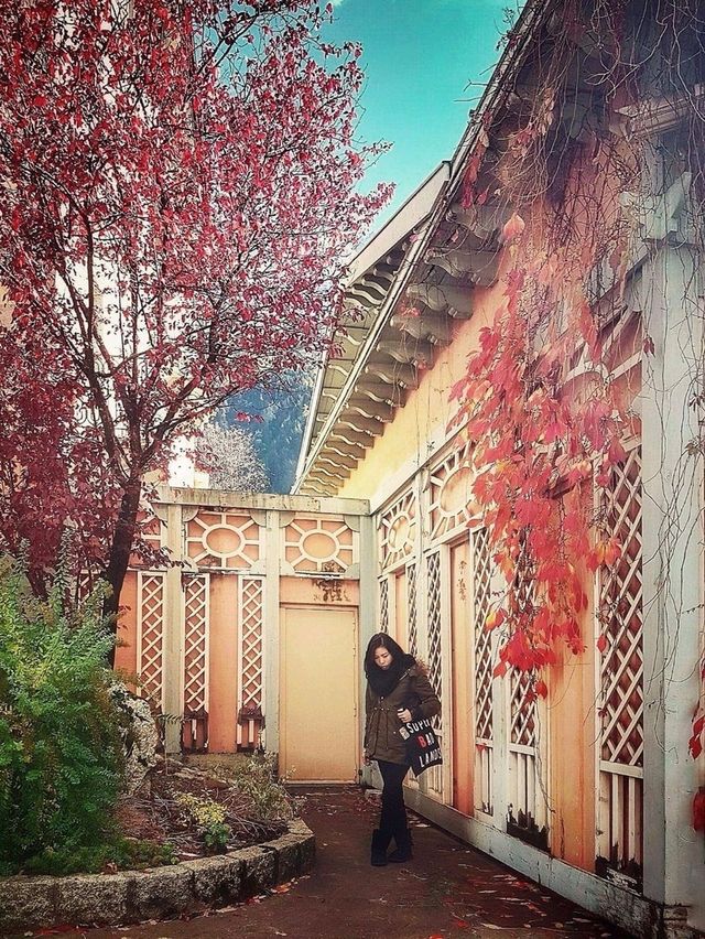 Chamonix หนาวนี้ดีต่อใจ