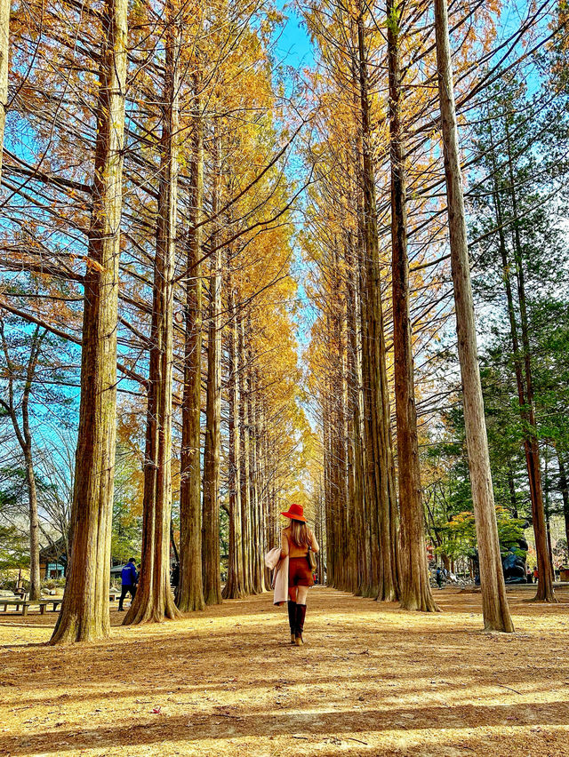 Best autumn spots in Seoul & beyond 🍁🍂