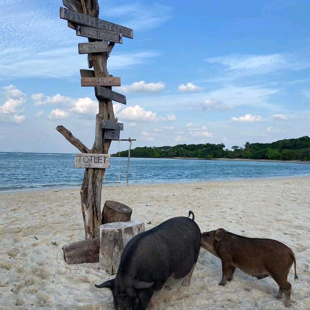 เกาะมัดสุม (Madsum Island)