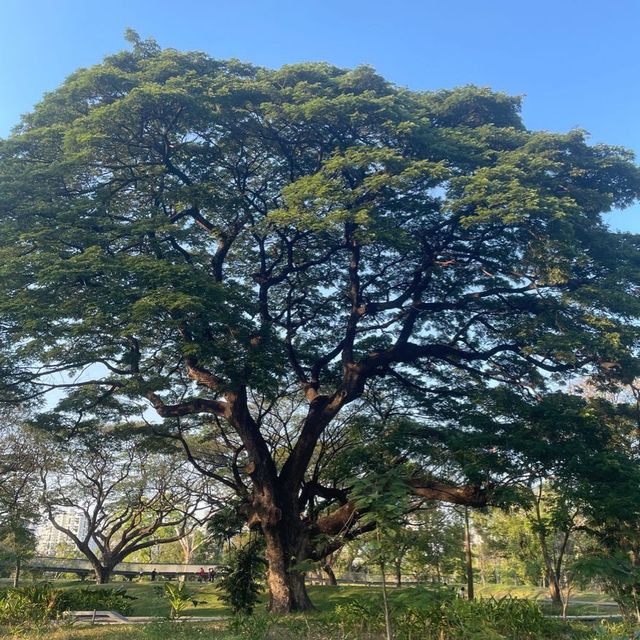 Most relaxing and beautiful Park in Bangkok