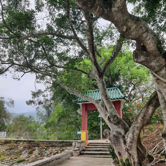 遙望深圳的鹿頸天后宮