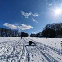 Winter Wonderland in Hokkaido