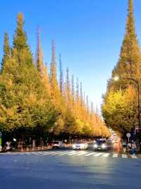 BEEN THERE, DONE THAT, AUTUMN IN JAPAN